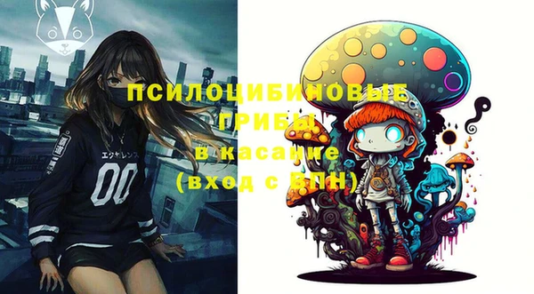 первитин Беломорск
