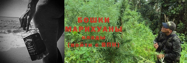 ALPHA PVP Белокуриха